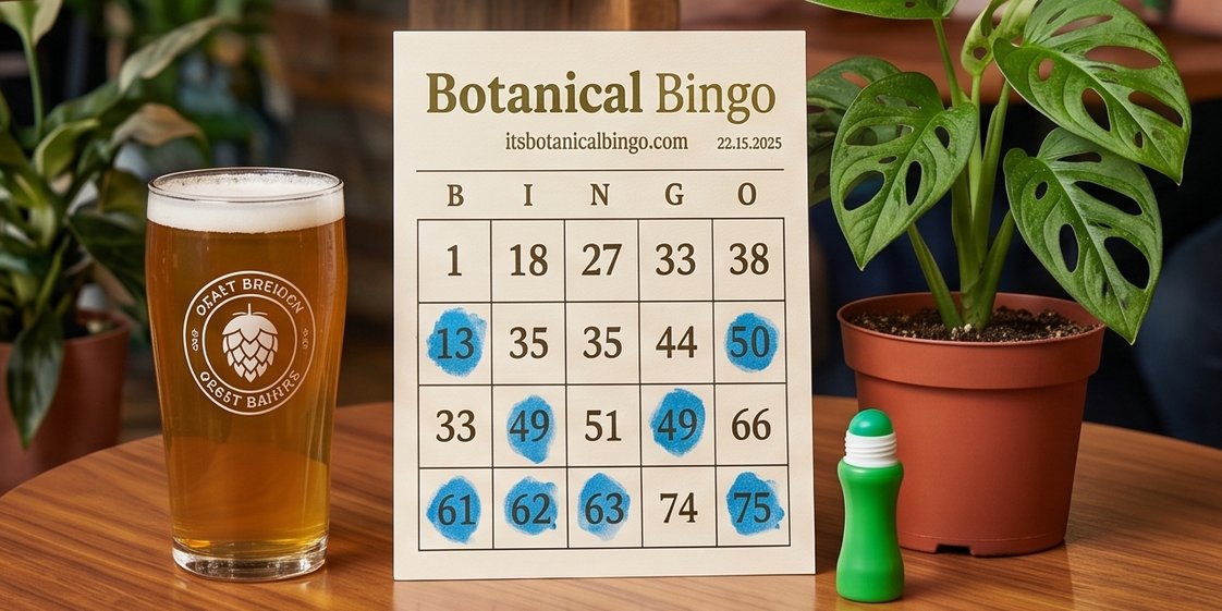 Plant Bingo card with a pint of beer and a monstera plant